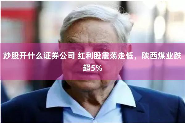 炒股开什么证券公司 红利股震荡走低，陕西煤业跌超5%