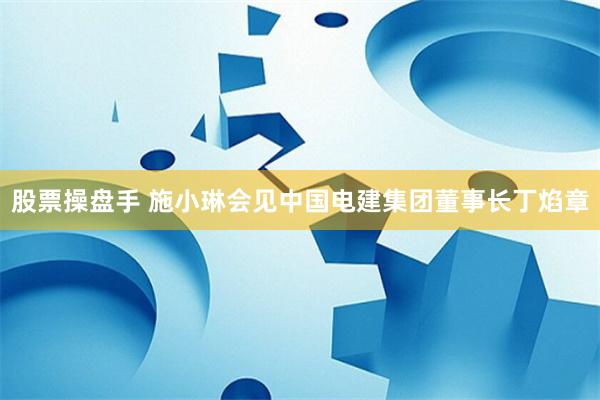 股票操盘手 施小琳会见中国电建集团董事长丁焰章