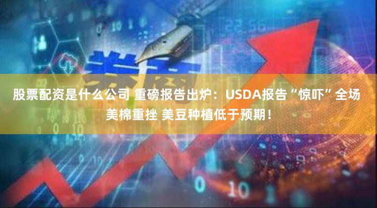 股票配资是什么公司 重磅报告出炉：USDA报告“惊吓”全场 美棉重挫 美豆种植低于预期！